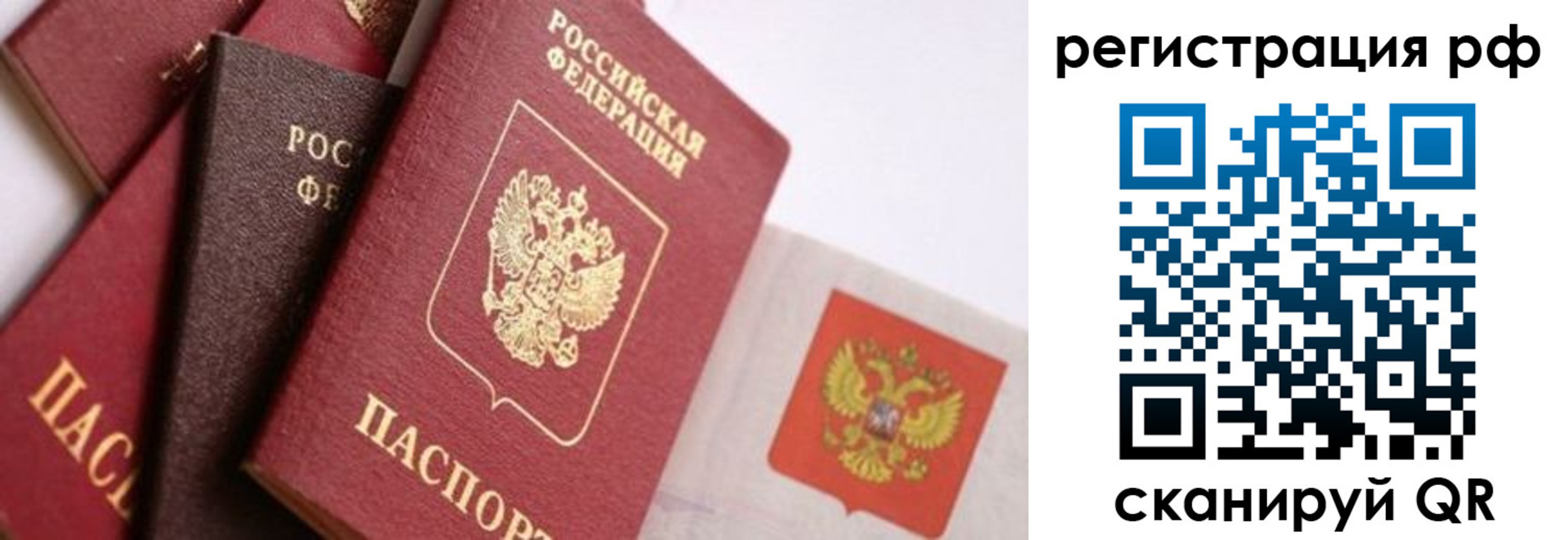прописка гарантия в Пугачёве